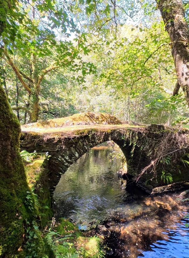 Camino de Santiago & Historic Routes