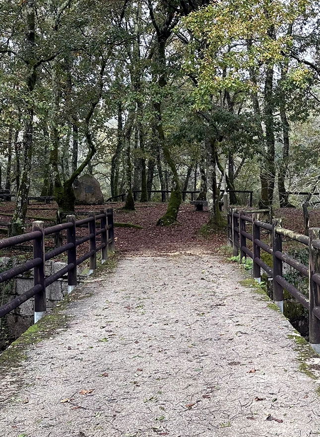 Nature & Landcapes