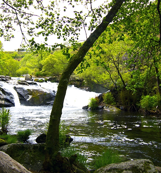 Ramil Rapids and Cascades