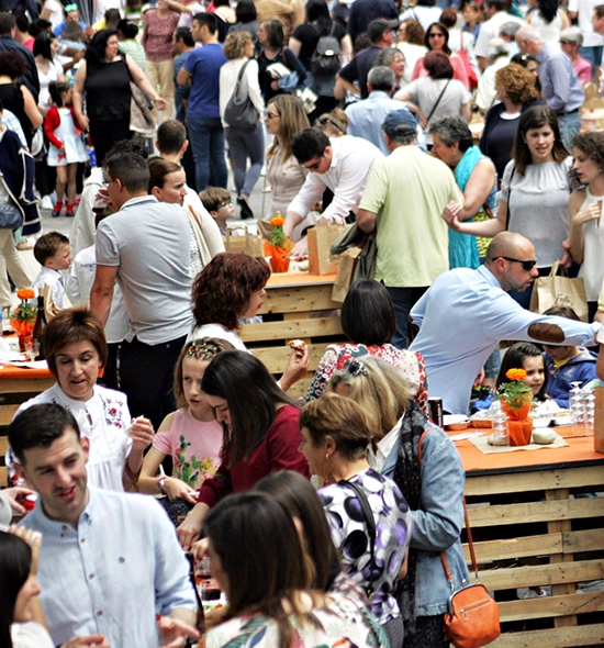 Salmon Festival