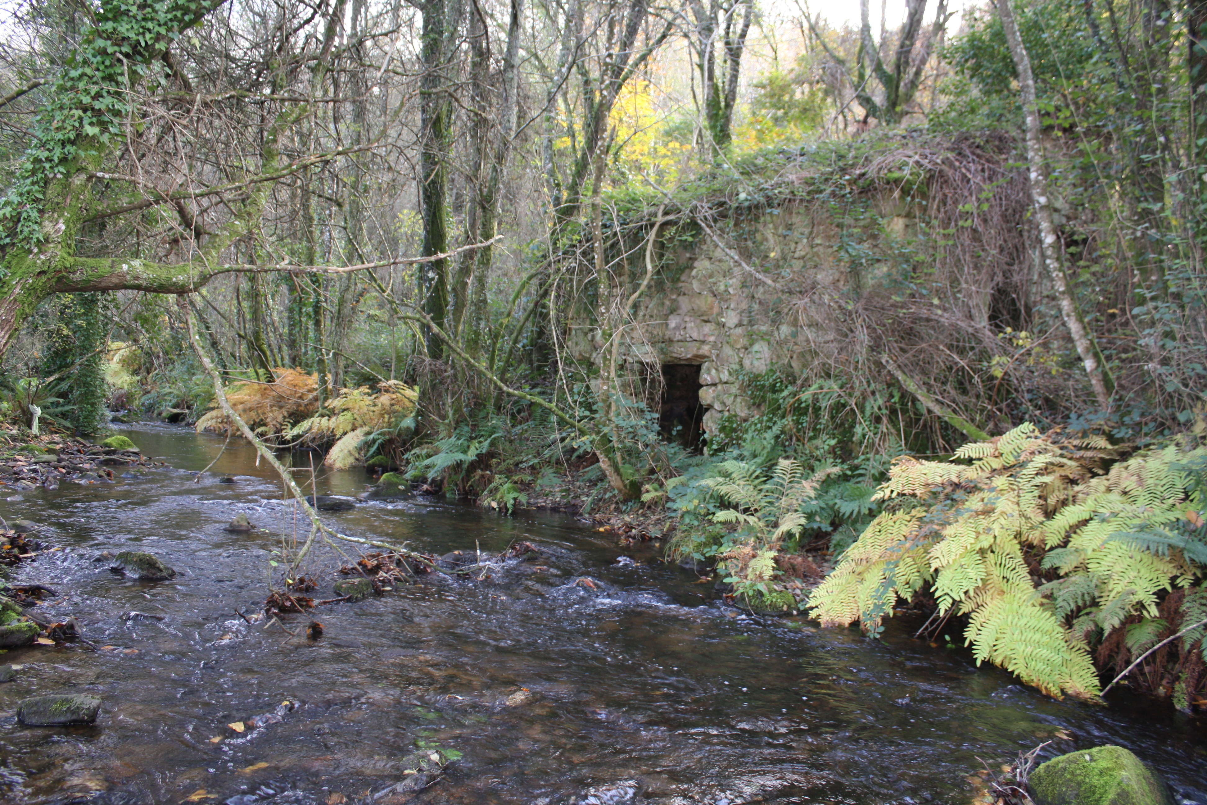 Eirexe Mills