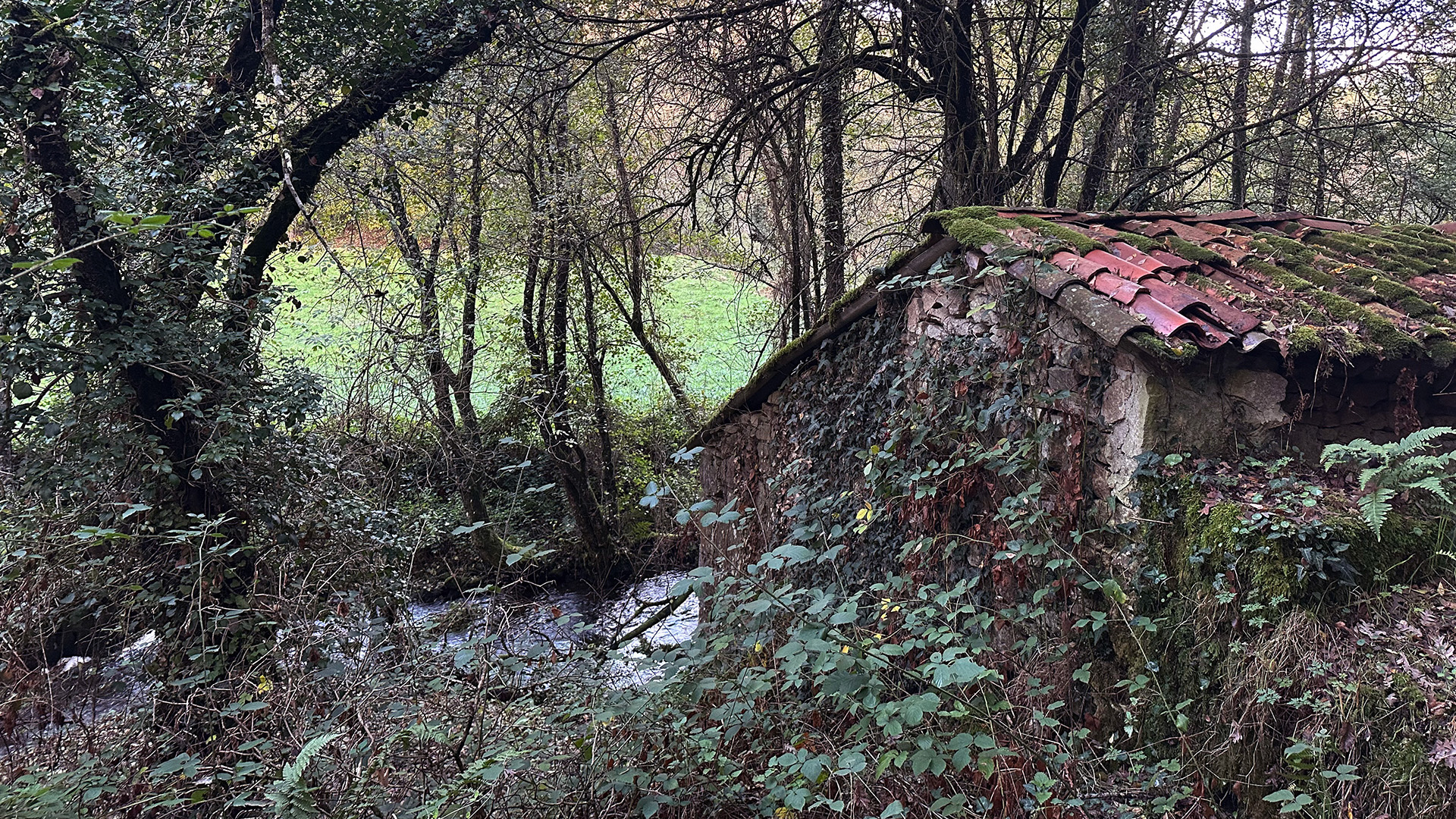 Molino del r&iacute;o Rodeiro
