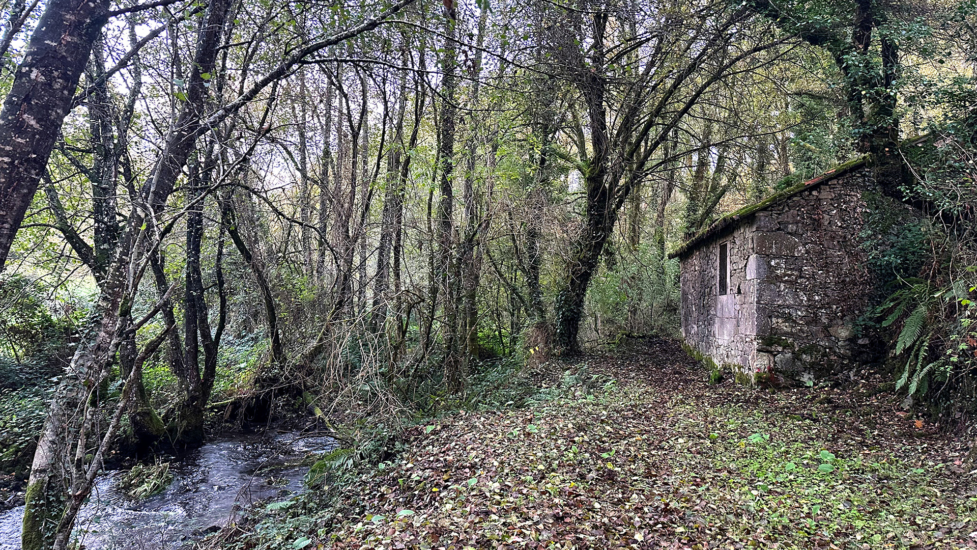 Rodeiro River Watermill