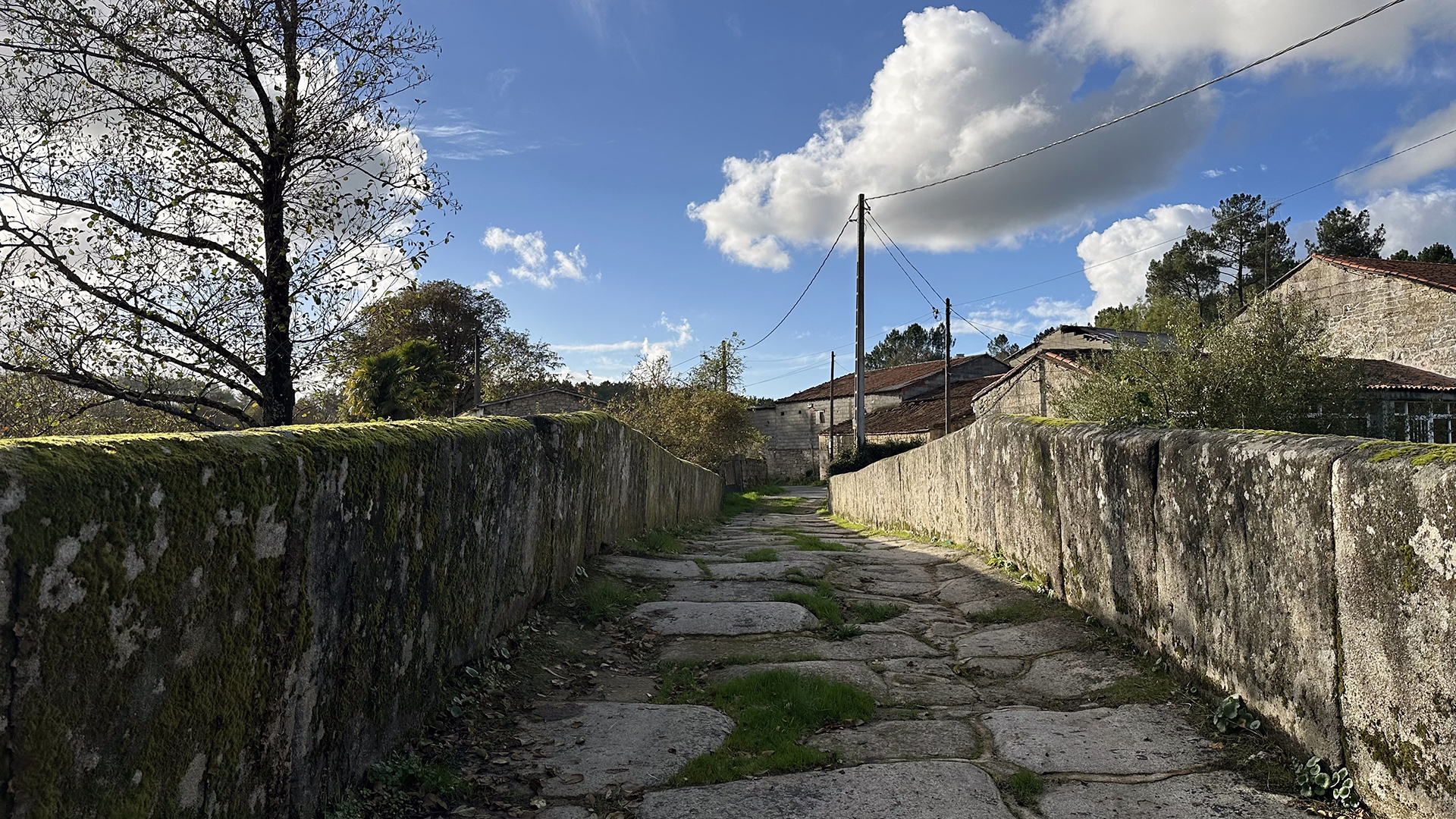 Medieval Bridge of Pedroso