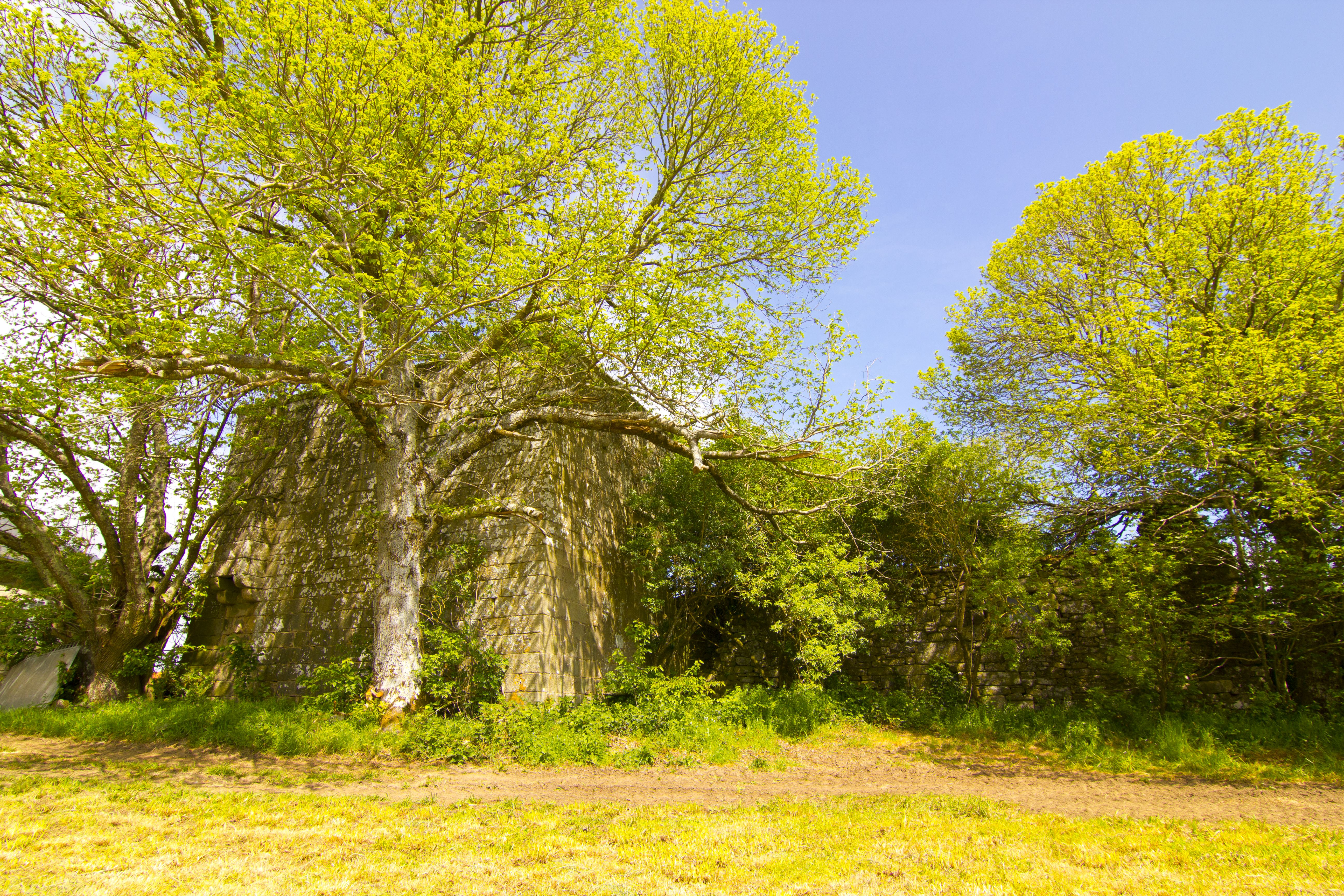 Tulla de Fafi&aacute;n (Granary)