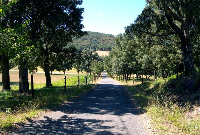Sobreirais do Arnego Cork Oak Forest 0