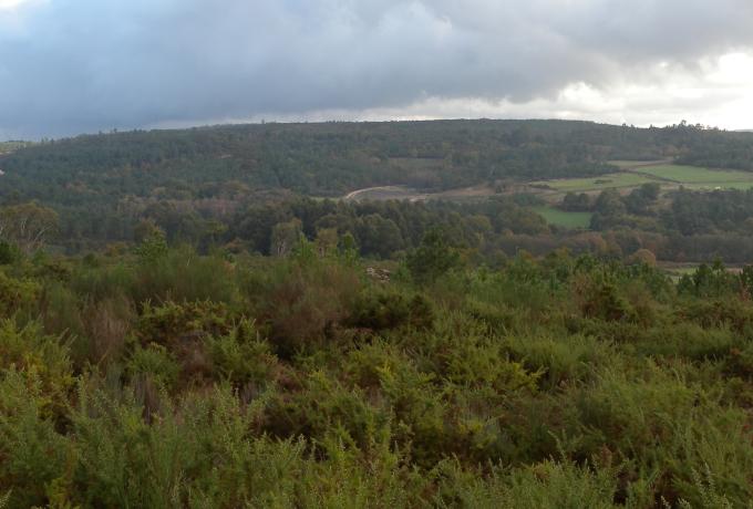 Campo do Xastre Rock Art 0