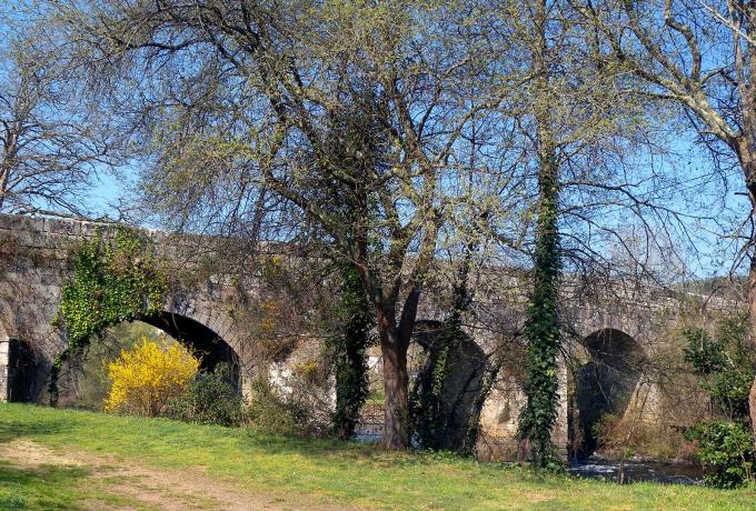 Ponte Ledesma 0