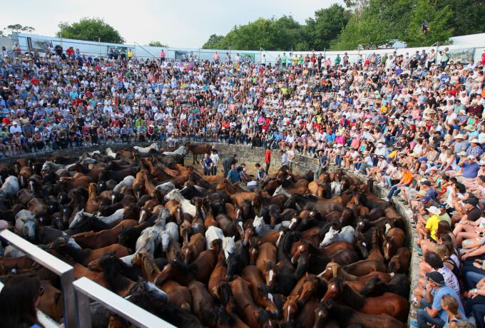 Rapa das Bestas Festival of Sabucedo 0