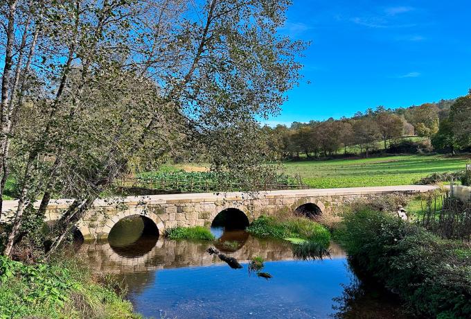 Asneiro River 0