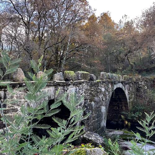 Ponte dos Cabalos 8