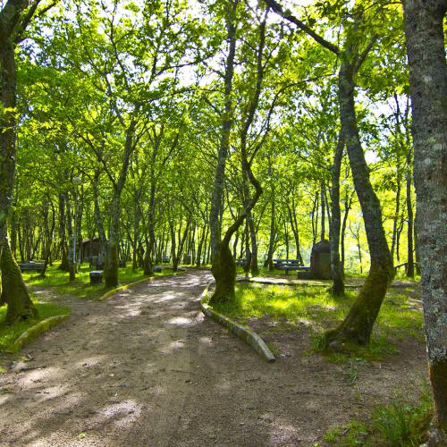 Remesquide Recreation Area 0