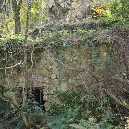 Eirexe Mills 2