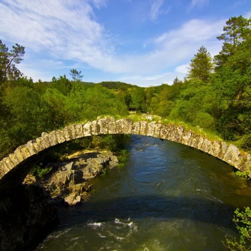 Ponte do Arco da Carixa Bridge 0