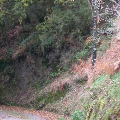 Castro de Doz&oacute;n Hillfort 5