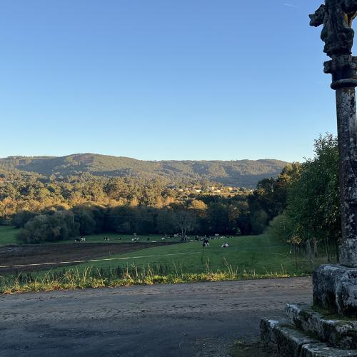 Igrexa de Santa Mar&iacute;a de Rub&iacute;n 2