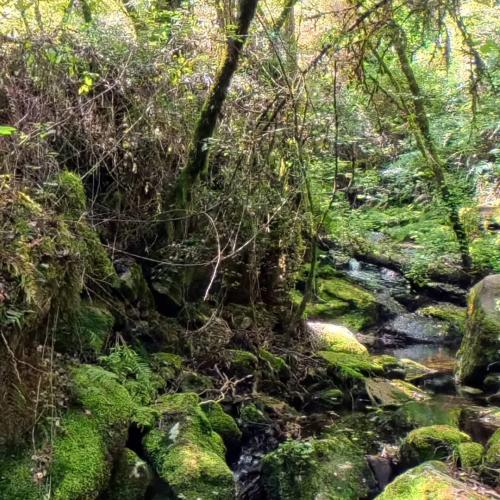 As Quintas Waterfall 1