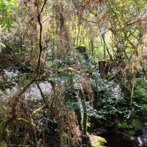 As Quintas Waterfall 2
