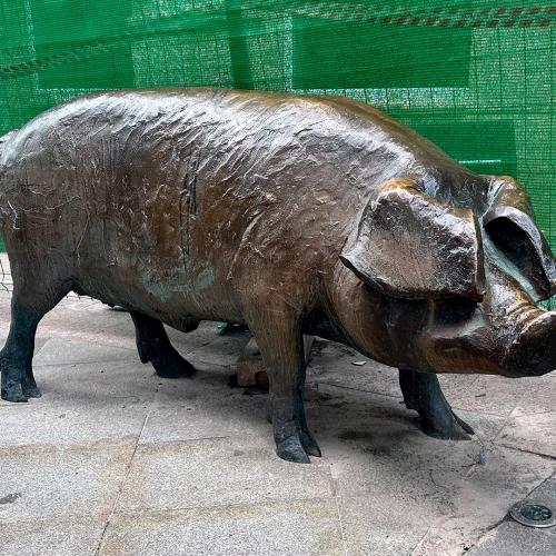 Monumento a O Porco 0