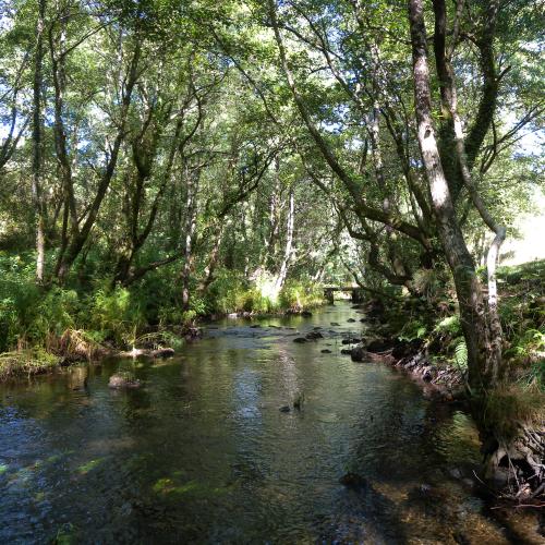 Mouriscade Recreation Area 0