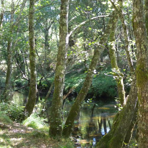 Mouriscade Recreation Area 3
