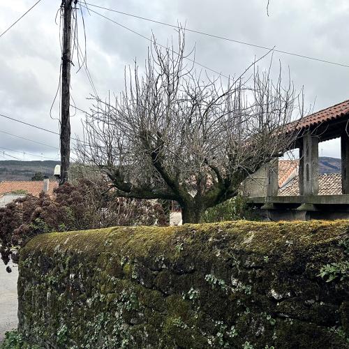 Aldea de A Ermida 3