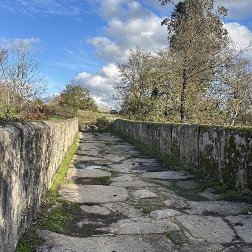 Medieval Bridge of Pedroso 3