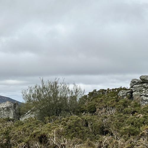 Castro de Pena Grande 0