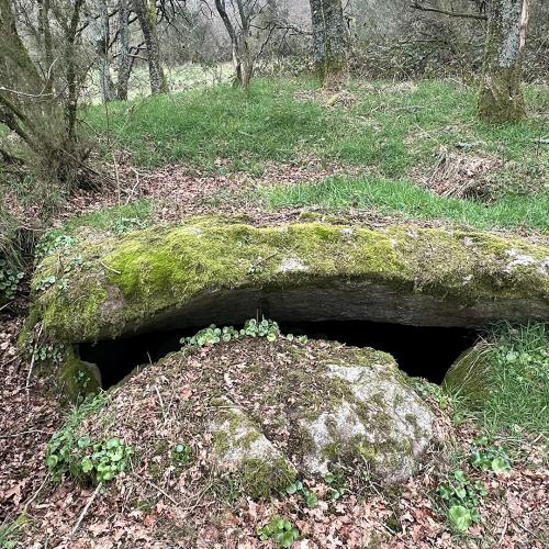 Coto dos Mouros 3