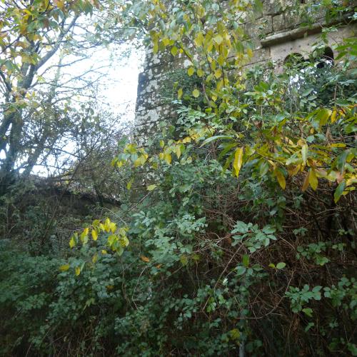 Tulla de Fafi&aacute;n (Granary) 2