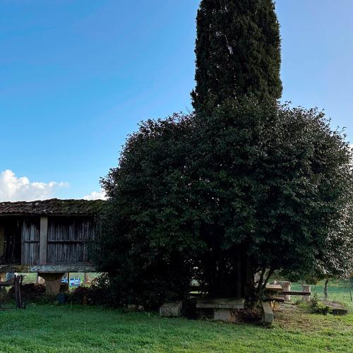 Albergue Casa Leiras 2