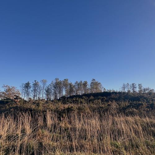 Xestoso Moorlands 10