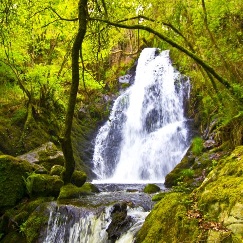 Fervenza de F&eacute;rveda Waterfalls 0