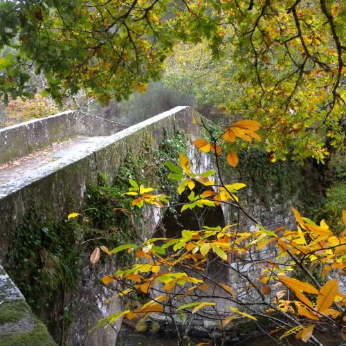 Ponte do Demo Bridge 1
